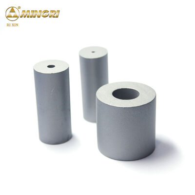 Цементированный вольфрамокарбид полированный твердый сплав отмирает Форма на заказ OEM поддержка прокол штамповки гранул обработки высокого изгиба